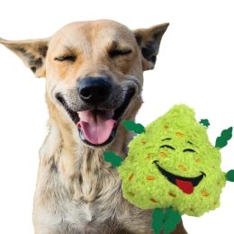 Bud the Weed Nug 420 Dog Toy - Green