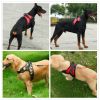 Dog Chest Strap Traction Rope Explosion proof Flushing Dog Chest Strap - black - M