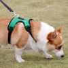 dog harness set; with leas frog leash pet mesh breathable small dog chest back retractable dog leash pet harness - Green frog+traction rope - XS