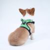 dog harness set; with leas frog leash pet mesh breathable small dog chest back retractable dog leash pet harness - Calf - S