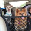 Pet Isolation Net Dog Car Protection Network Car Anti-wrestling Pet Supplies - TV25F