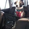 Pet Car Net Petition - Black