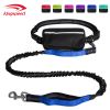 Hands Free Dog Leash with Zipper Pouch; Dual Padded Handles and Durable Bungee for Walking; Jogging and Running Your Dog - Blue suit - 2.5*122CM